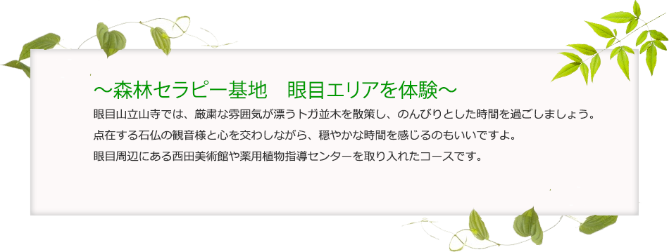 森林セラピー基地 眼目エリアを体験