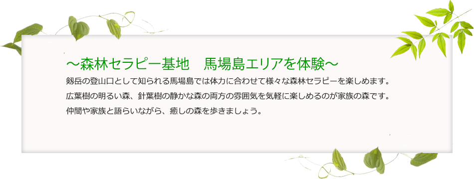 森林セラピー基地 馬場島エリアを体験