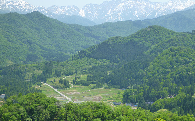 【観光スポット】歴史、文化