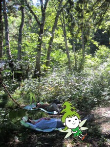 木漏れ日体験トガリン