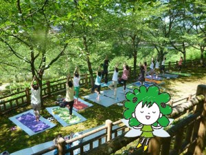 森ヨガ-ヒーリン