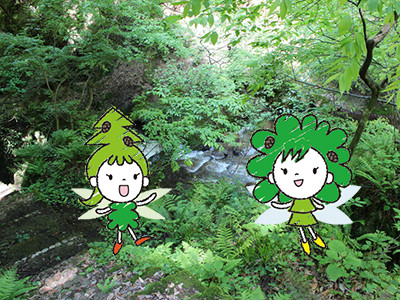 上市町森林セラピスト・セラピーガイドの紹介