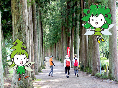 上市町森林セラピスト・セラピーガイド登録