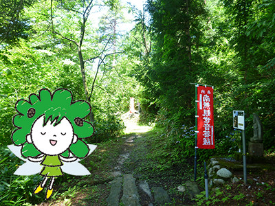 森林セラピーロード