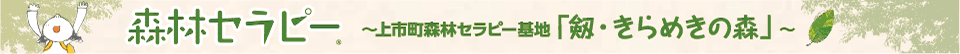 森林セラピー
